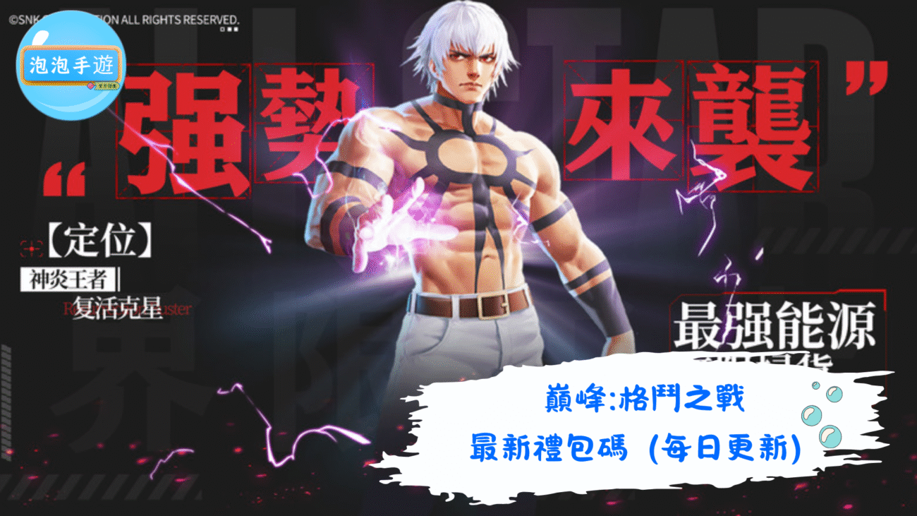 巔峰:格鬥之戰